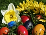 Áldott Húsvéti Ünnepet kívánunk!